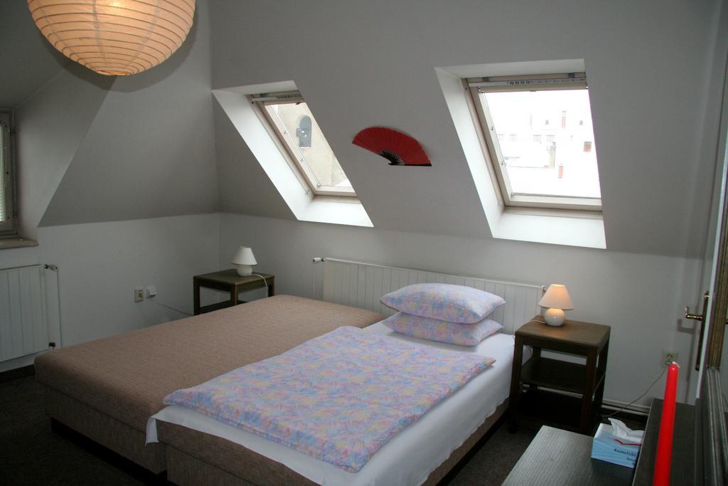 Penzion Orchidea Opočno Kamer foto