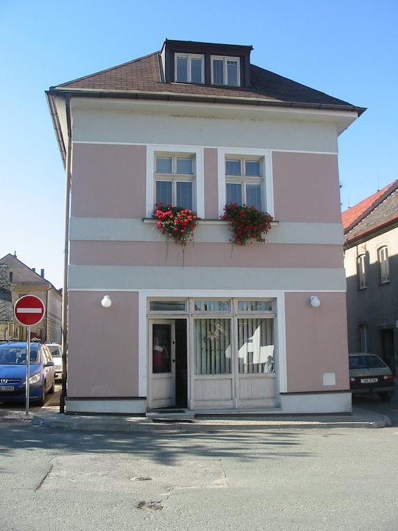 Penzion Orchidea Opočno Buitenkant foto