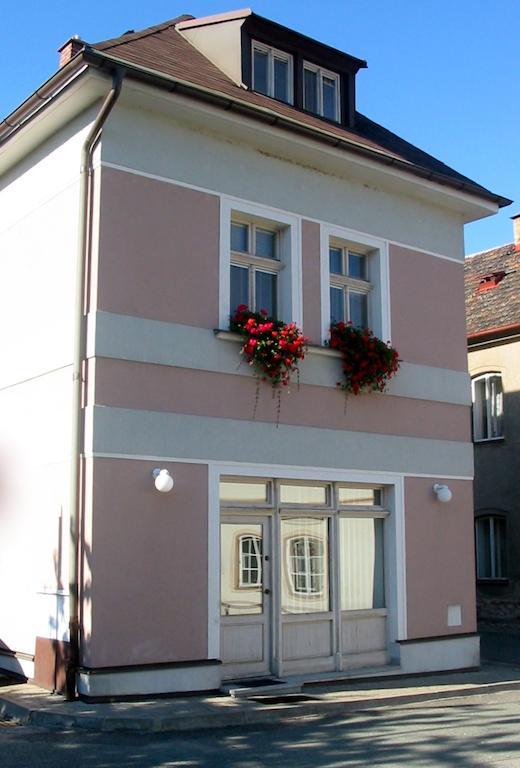 Penzion Orchidea Opočno Buitenkant foto